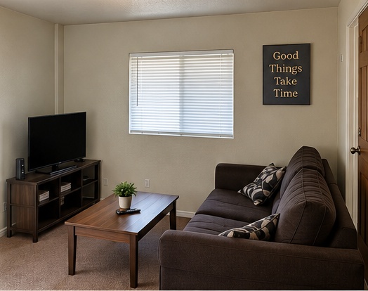 Modest furnished shared living room