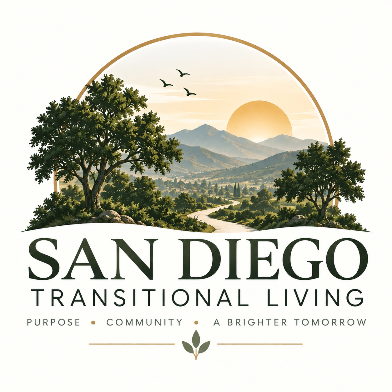San Diego Transitional Living logo